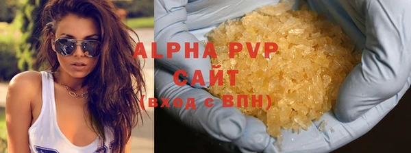 прущие грибы Новодвинск