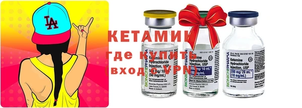 прущие грибы Новодвинск
