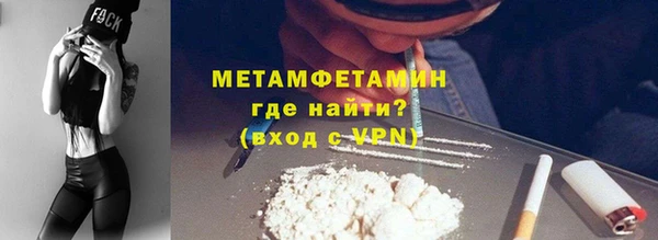 прущие грибы Новодвинск