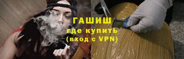 прущие грибы Новодвинск