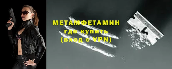 прущие грибы Новодвинск