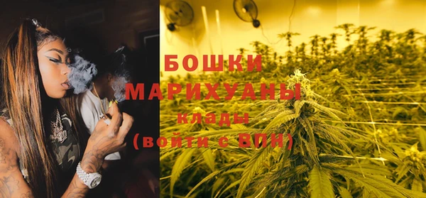 прущие грибы Новодвинск
