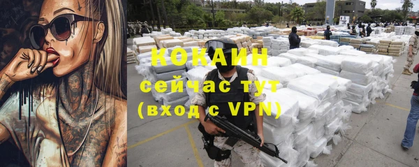 COCAINE Богородицк