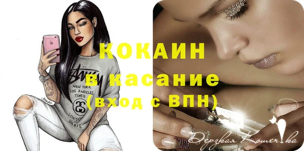 прущие грибы Новодвинск