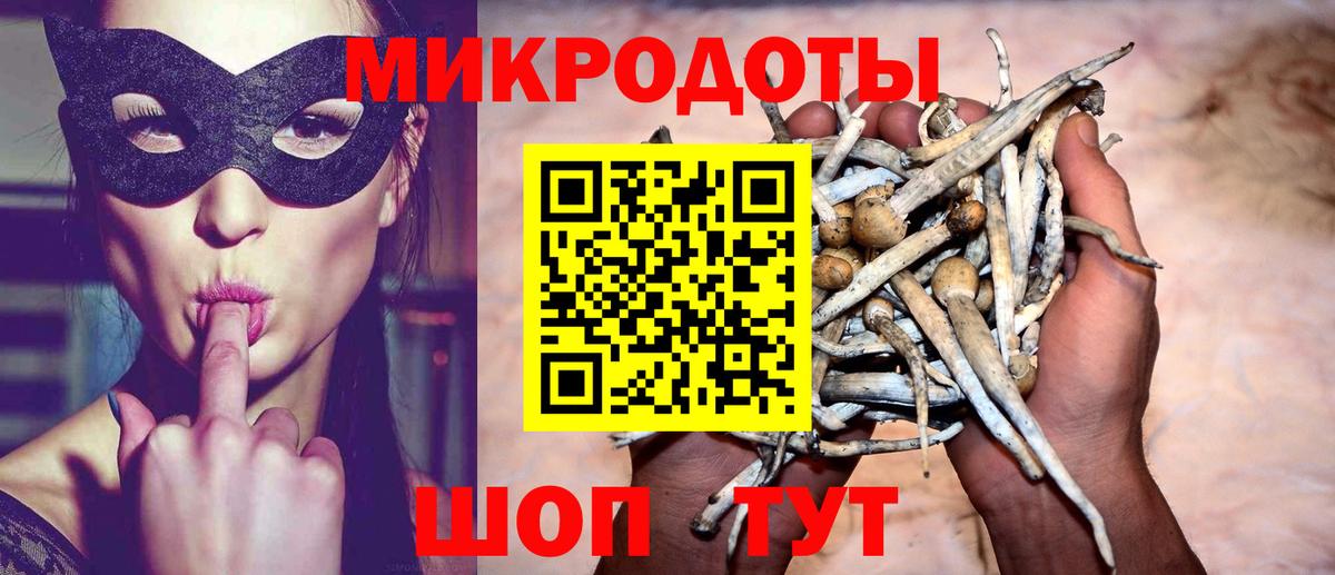 Соликамск  Псилоцибиновые грибы Psilocybine cubensis  Вход с VPN  Галлюциногенные грибы ЛСД 