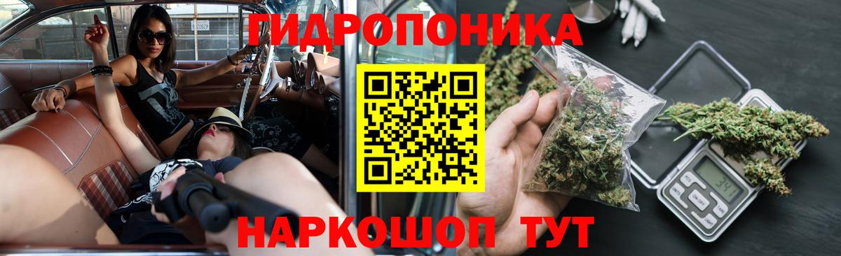 Шишки марихуана семена Соликамск